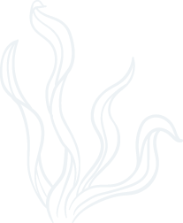 Leos Maritime decorative tree